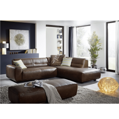 living room sofa brienne brown LS