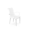 Tulip Metal Arm Dining Chair