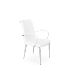 Tulip Metal Arm Dining Chair