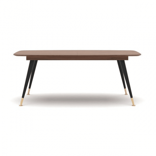 dining room ana extendable table