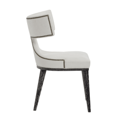 Tamina Dining Chair with Nailhead Trim Side