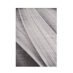 Limestone-01 Rug