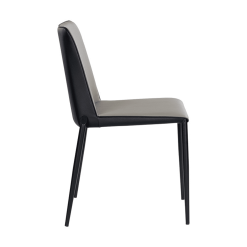 Renee Dining Chair in Dillon Stratus and DIllon Black Side