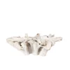 Teak Root Bleached Ø60" Round Coffee Table - Variation 02