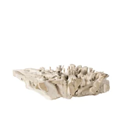 Teak Root Bleached W60" Square Coffee Table - Variation 03