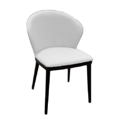 Achele Dining Chair in White