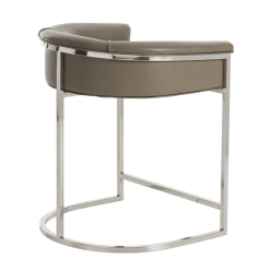 Carillo Counter Stool in Dove Leather Back