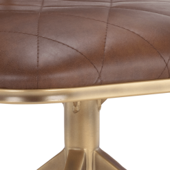 Virtu Dining Chair in Bravo Cognac Details