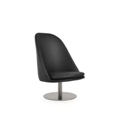 Avanos Lounge Chair with Round Base