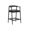 Jeremy Counter Stool