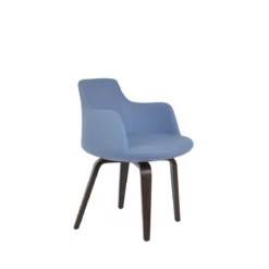 Dervish Plywood Dining Chair