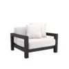 Aiden Accent Chair in Black Finish