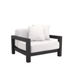 Aiden Accent Chair in Black Finish