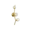 Hampton Wall Sconce