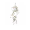 Anita 12 Light Chandelier