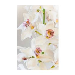 boat orchid wall art