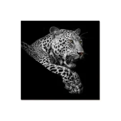 Leopard Wall Art