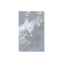 Purity Wall Art