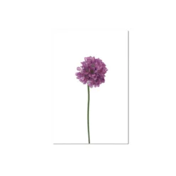 Sea Pink Flower Wall Art