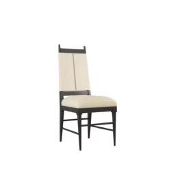 Kaiden Dining Chair
