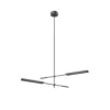 Astrid 2-Light Pendant