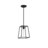 Candid 1-Light Pendant