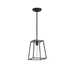 Candid 1-Light Pendant