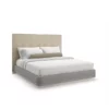 Dream Chaser Bed