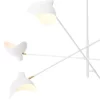 montana chandelier ()