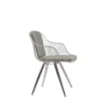 Zebra Star Dining Chair