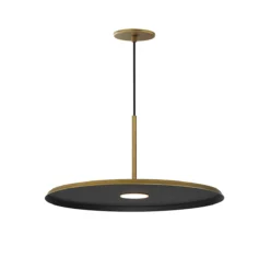 Canny 20" Pendant