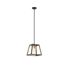 Raipur 1-Light Pendant