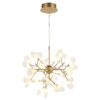 sprout chandelier