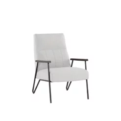 Coelho Accent Chair