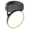 novel flush mount