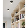 novel flush mount