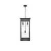 Douglas Pendant