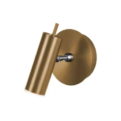 Focus 1-Light Wall Sconce