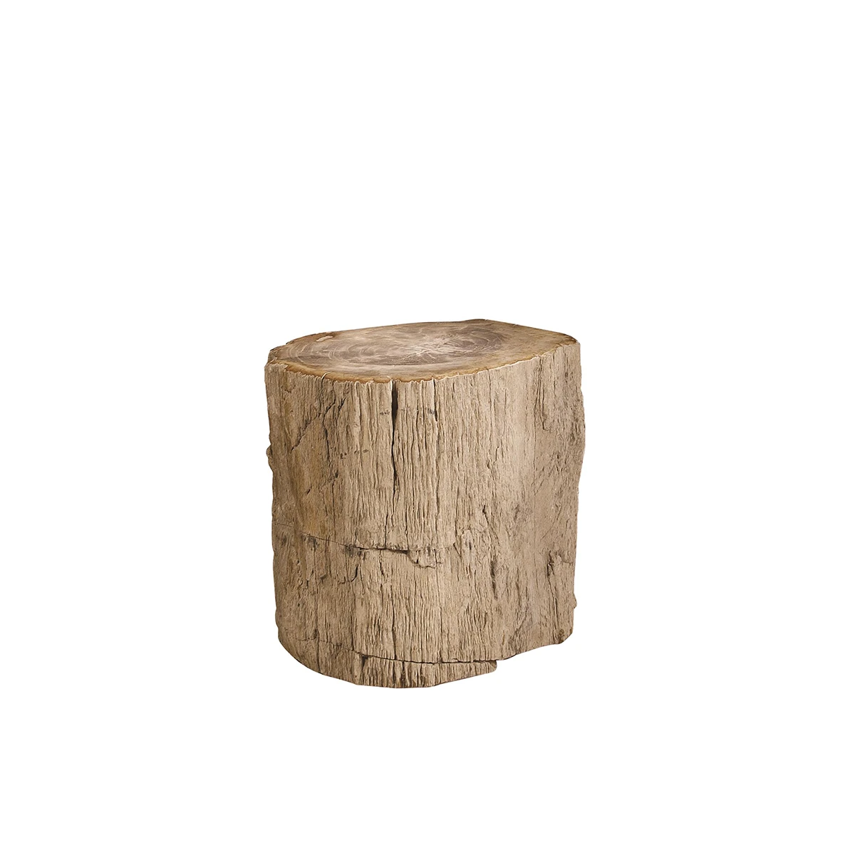 Petrified Accent Table