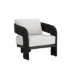 Pylos Accent Chair In Black Finish