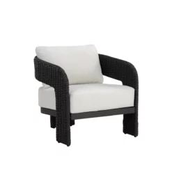 Pylos Accent Chair In Black Finish