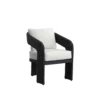 Pylos Dining Chair In Black Finish