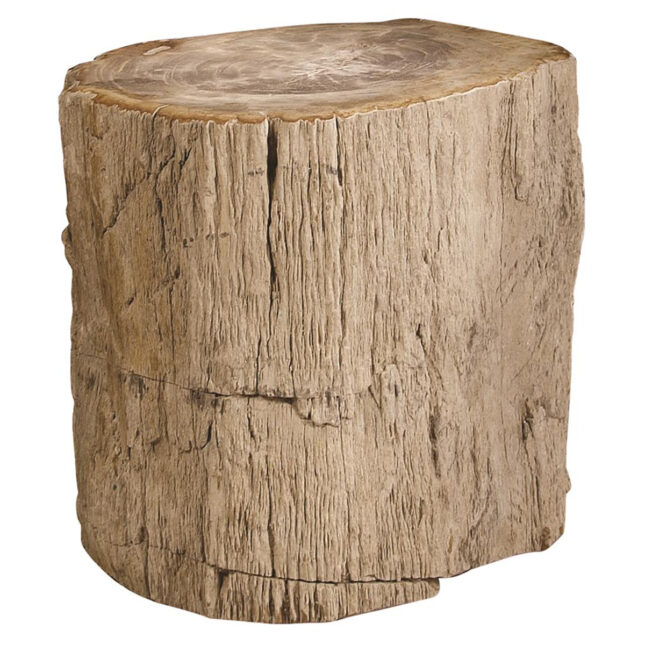 petrified accent table ()