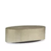 Come Oval Here Coffee Table