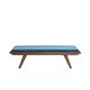 frida bench