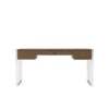 Caspian Desk