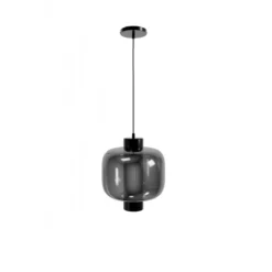 Cosmopolitan Pendant In Gunmetal Finish