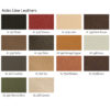 astro line leathers
