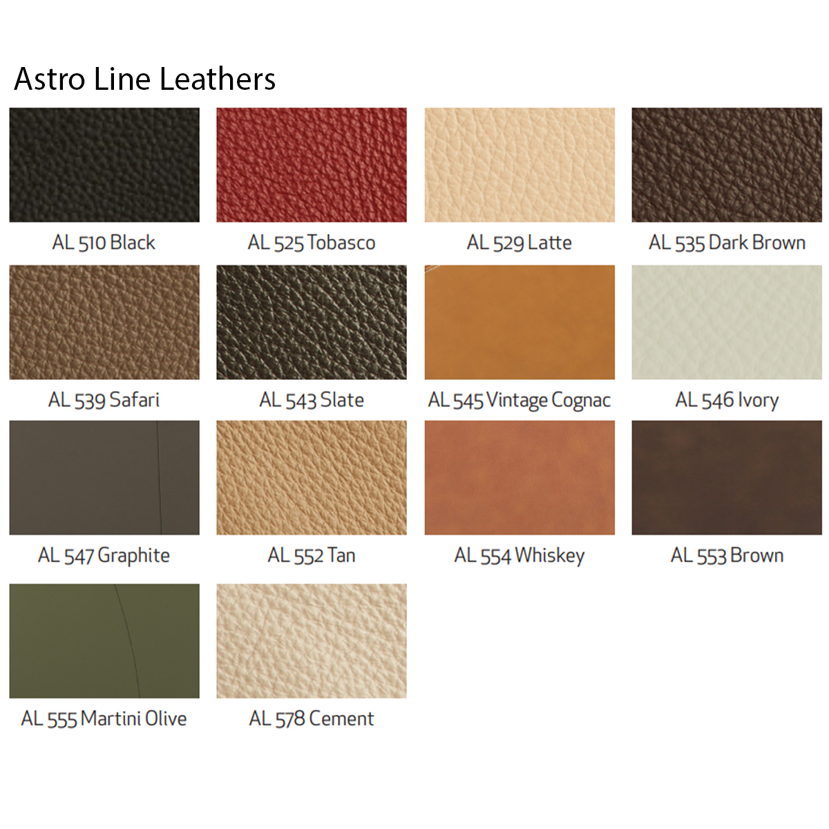 astro line leathers
