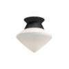nora flush mount
